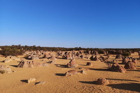 Pinnacles Day Trip From Perth Including Yanchep National Park - Restaurant Find 3