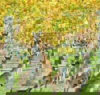 Margaret River Indulge and Discover Day Tour - Restaurant Find