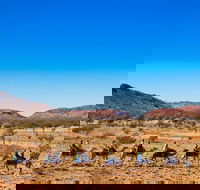 Alice Springs Camel Tour - Restaurant Find