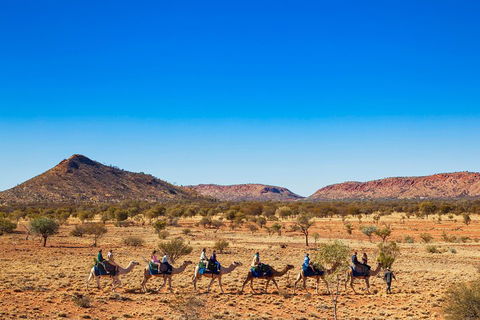 Alice Springs Camel Tour - Restaurant Find 0