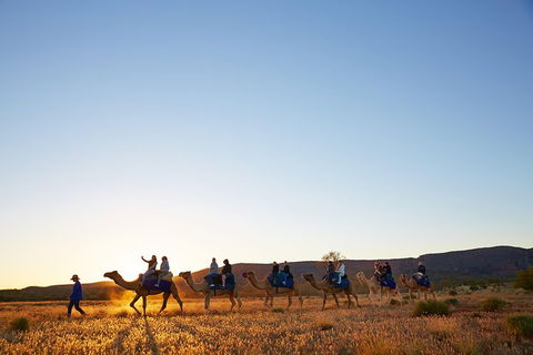 Alice Springs Camel Tour - Restaurant Find 1