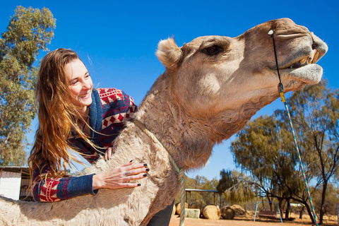 Alice Springs Camel Tour - Restaurant Find 2