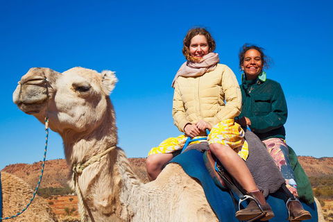 Alice Springs Camel Tour - Restaurant Find 3