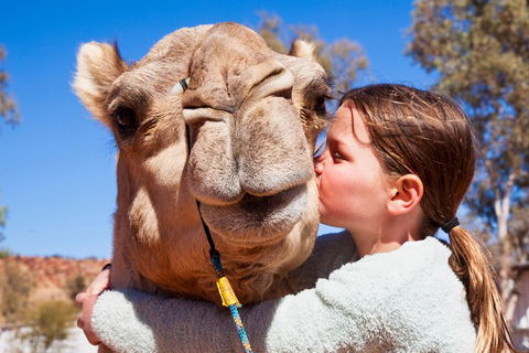 Alice Springs Camel Tour - Restaurant Find 5