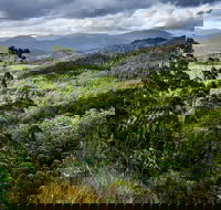 3-Day Tour to the Falls Mountains Lake  More of West Coast Tasmania - Restaurant Find