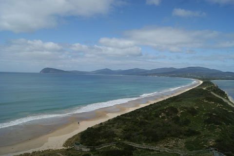 7-Day Best Of Tasmania Adventure Experience From Hobart (flexible Ticket) - Restaurant Find 2