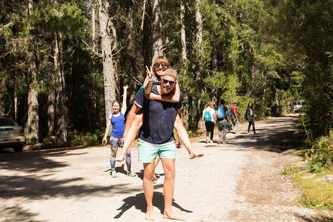 7-Day Best Of Tasmania Adventure Experience From Hobart (flexible Ticket) - Restaurant Find 5