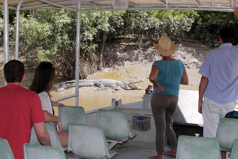 Whitsunday Crocodile Safari Including Lunch - Restaurant Find 4