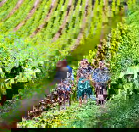 Tasmanian Wine Tour - Restaurant Find