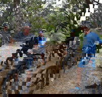 Fully guided E-Mountain Bike Tour on the beautiful Mornington Peninsula. - Restaurant Find