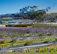 Private Hobart Discover South East Food and Scenic Tour - Restaurant Find