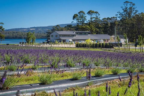 Private Hobart Discover South East Food And Scenic Tour - Restaurant Find 0