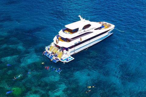 Great Barrier Reef Snorkeling And Diving Cruise From Cairns - Restaurant Find 5