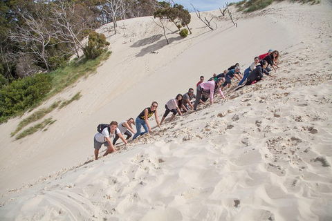 6-Day Tasmanian Explorer Adventure Tour From Hobart - Restaurant Find 2