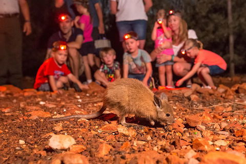 Alice Springs Desert Park Nocturnal Tour - Restaurant Find 1
