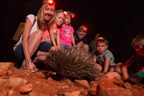 Alice Springs Desert Park Nocturnal Tour - Restaurant Find 5