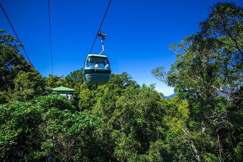 Classic Kuranda By Skyrail And Scenic Railway Including Rainforestation, Koala And Wildlife Park And Pamagirri Aboriginal Experi - Restaurant Find 0