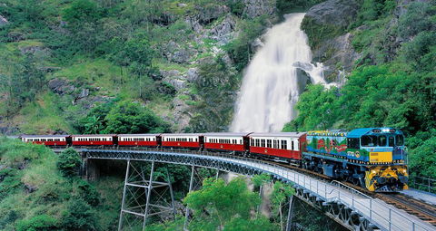 Classic Kuranda By Skyrail And Scenic Railway Including Rainforestation, Koala And Wildlife Park And Pamagirri Aboriginal Experi - Restaurant Find 1