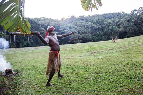 Classic Kuranda By Skyrail And Scenic Railway Including Rainforestation, Koala And Wildlife Park And Pamagirri Aboriginal Experi - Restaurant Find 5