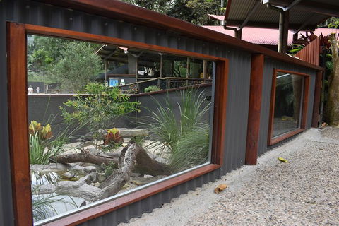 Kuranda Koala Gardens And Birdworld Admission Tickets - Restaurant Find 4