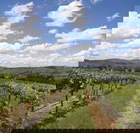 Hunter Valley Wine Tour from Sydney incl Lunch Cheese Chocolate and Distillery - Restaurant Find