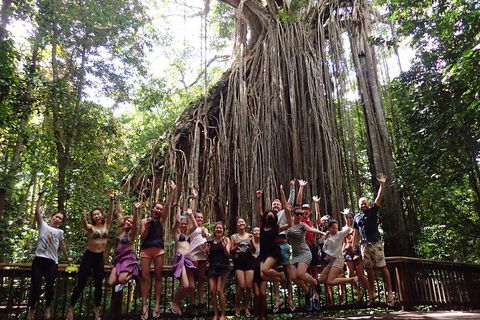 Atherton Tablelands Waterfalls Tour From Cairns - Restaurant Find 5